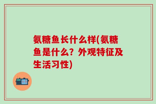 氨糖鱼长什么样(氨糖鱼是什么?外观特征及生活习性)-第1张图片-氨糖科普网 氨糖鱼长什么样(氨糖鱼是什么?外观特征及生活习性)-第1张图片-氨糖科普网