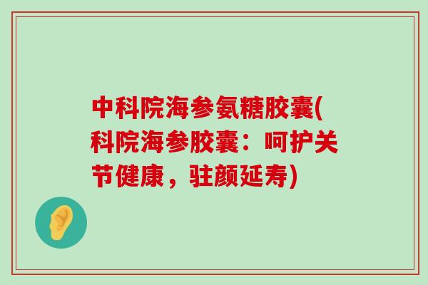 中科院海参氨糖胶囊(科院海参胶囊：呵护关节健康，驻颜延寿)-第1张图片-氨糖科普网
