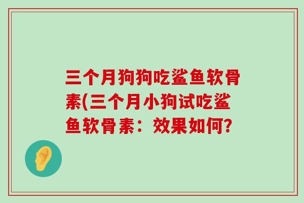 三个月狗狗吃鲨鱼软骨素(三个月小狗试吃鲨鱼软骨素:效果如何?-第1张图片-氨糖科普网 三个月狗狗吃鲨鱼软骨素(三个月小狗试吃鲨鱼软骨素:效果如何?-第1张图片-氨糖科普网