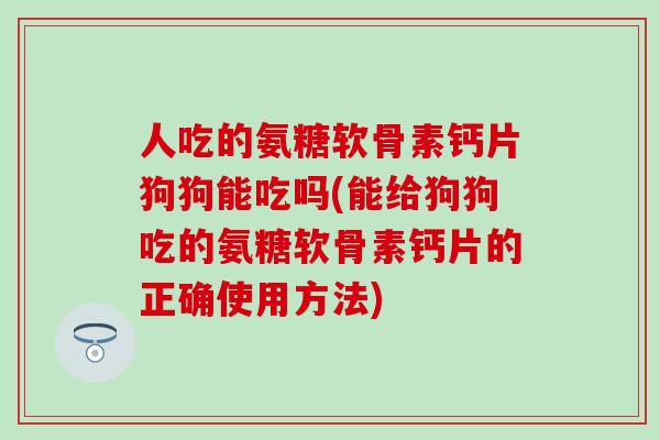 人吃的氨糖软骨素钙片狗狗能吃吗(能给狗狗吃的氨糖软骨素钙片的正确使用方法)-第1张图片-氨糖科普网 人吃的氨糖软骨素钙片狗狗能吃吗(能给狗狗吃的氨糖软骨素钙片的正确使用方法)-第1张图片-氨糖科普网
