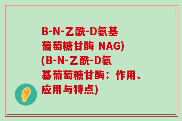 B-N-乙酰-D氨基葡萄糖甘酶 NAG)(B-N-乙酰-D氨基葡萄糖甘酶:作用、应用与特点)-第1张图片-氨糖科普网 B-N-乙酰-D氨基葡萄糖甘酶 NAG)(B-N-乙酰-D氨基葡萄糖甘酶:作用、应用与特点)-第1张图片-氨糖科普网