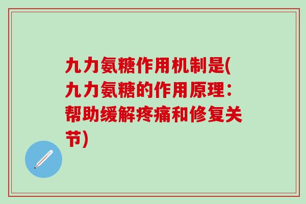 九力氨糖作用机制是(九力氨糖的作用原理:帮助缓解疼痛和修复关节)-第1张图片-氨糖科普网 九力氨糖作用机制是(九力氨糖的作用原理:帮助缓解疼痛和修复关节)-第1张图片-氨糖科普网