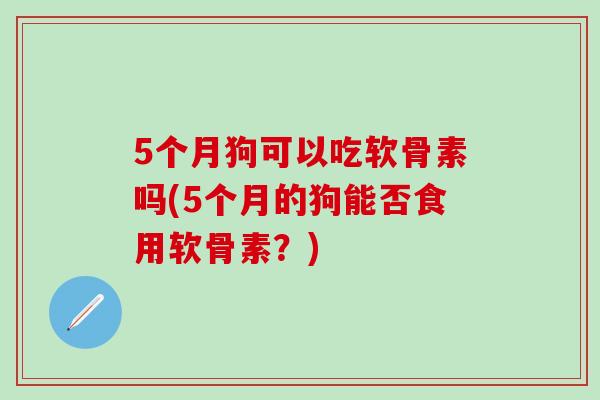 5个月狗可以吃软骨素吗(5个月的狗能否食用软骨素?)-第1张图片-氨糖科普网 5个月狗可以吃软骨素吗(5个月的狗能否食用软骨素?)-第1张图片-氨糖科普网