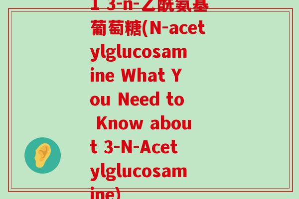 1 3-n-乙酰氨基葡萄糖(N-acetylglucosamine What You Need to Know about 3-N-Acetylglucosamine)-第1张图片-氨糖科普网 1 3-n-乙酰氨基葡萄糖(N-acetylglucosamine What You Need to Know about 3-N-Acetylglucosamine)-第1张图片-氨糖科普网
