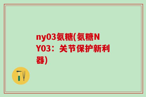 ny03氨糖(氨糖NY03：关节保护新利器)-第1张图片-氨糖科普网