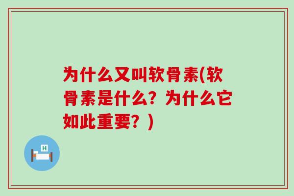 为什么又叫软骨素(软骨素是什么？为什么它如此重要？)-第1张图片-氨糖科普网