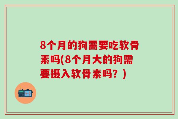 8个月的狗需要吃软骨素吗(8个月大的狗需要摄入软骨素吗？)-第1张图片-氨糖科普网