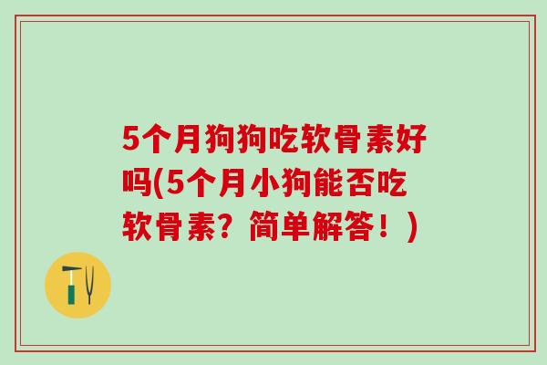 5个月狗狗吃软骨素好吗(5个月小狗能否吃软骨素？简单解答！)-第1张图片-氨糖科普网