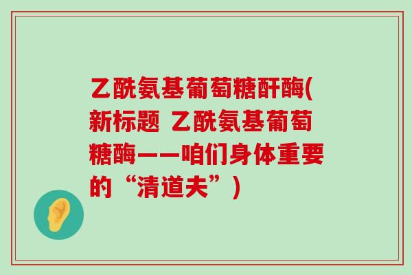 乙酰氨基葡萄糖酐酶(新标题 乙酰氨基葡萄糖酶——咱们身体重要的“清道夫”)-第1张图片-氨糖科普网 乙酰氨基葡萄糖酐酶(新标题 乙酰氨基葡萄糖酶——咱们身体重要的“清道夫”)-第1张图片-氨糖科普网