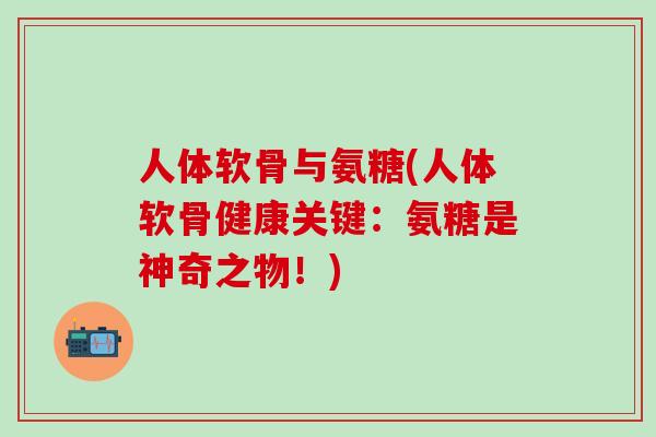 人体软骨与氨糖(人体软骨健康关键：氨糖是神奇之物！)-第1张图片-氨糖科普网