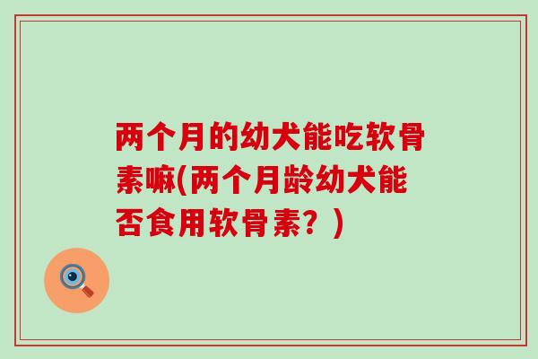 两个月的幼犬能吃软骨素嘛(两个月龄幼犬能否食用软骨素?)-第1张图片-氨糖科普网 两个月的幼犬能吃软骨素嘛(两个月龄幼犬能否食用软骨素?)-第1张图片-氨糖科普网