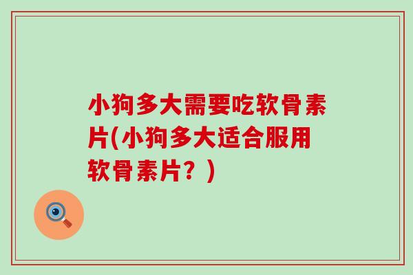 小狗多大需要吃软骨素片(小狗多大适合服用软骨素片?)-第1张图片-氨糖科普网 小狗多大需要吃软骨素片(小狗多大适合服用软骨素片?)-第1张图片-氨糖科普网
