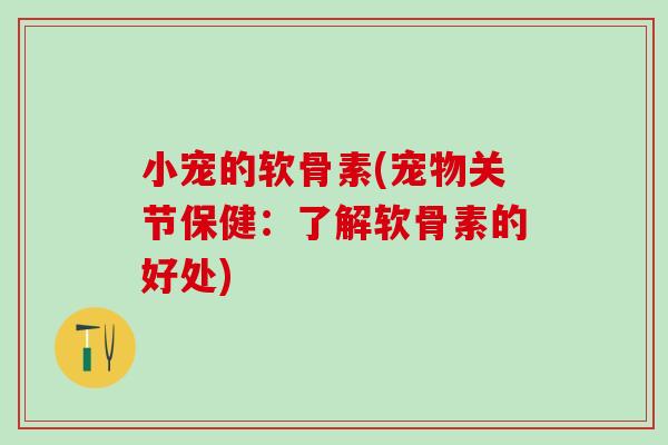 小宠的软骨素(宠物关节保健：了解软骨素的好处)-第1张图片-氨糖科普网