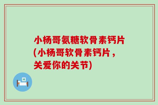 小杨哥氨糖软骨素钙片(小杨哥软骨素钙片,关爱你的关节)-第1张图片-氨糖科普网 小杨哥氨糖软骨素钙片(小杨哥软骨素钙片,关爱你的关节)-第1张图片-氨糖科普网