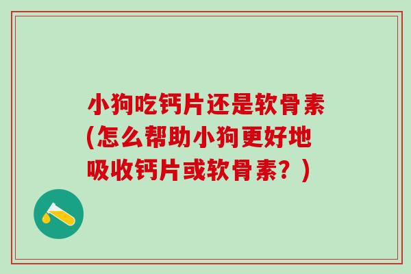 小狗吃钙片还是软骨素(怎么帮助小狗更好地吸收钙片或软骨素？)-第1张图片-氨糖科普网
