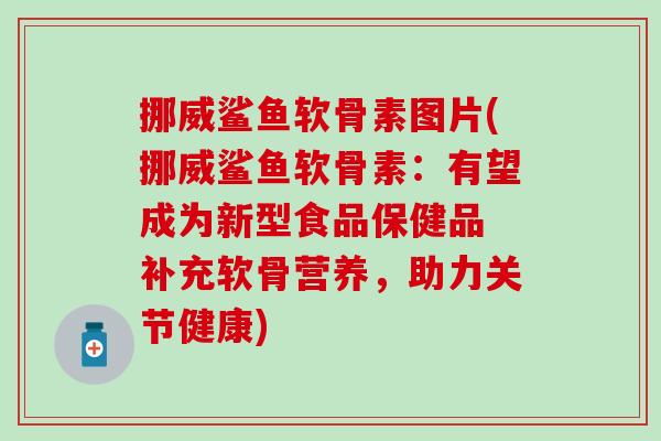 挪威鲨鱼软骨素图片(挪威鲨鱼软骨素：有望成为新型食品保健品 补充软骨营养，助力关节健康)-第1张图片-氨糖科普网