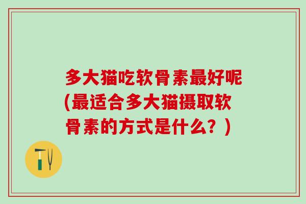 多大猫吃软骨素最好呢(最适合多大猫摄取软骨素的方式是什么？)-第1张图片-氨糖科普网