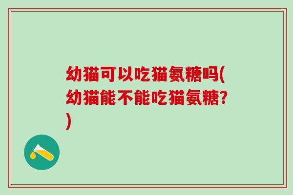 幼猫可以吃猫氨糖吗(幼猫能不能吃猫氨糖?)-第1张图片-氨糖科普网 幼猫可以吃猫氨糖吗(幼猫能不能吃猫氨糖?)-第1张图片-氨糖科普网