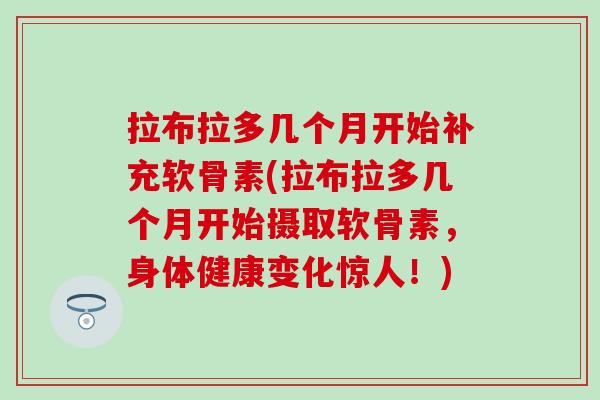 拉布拉多几个月开始补充软骨素(拉布拉多几个月开始摄取软骨素,身体健康变化惊人!)-第1张图片-氨糖科普网 拉布拉多几个月开始补充软骨素(拉布拉多几个月开始摄取软骨素,身体健康变化惊人!)-第1张图片-氨糖科普网