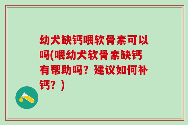 幼犬缺钙喂软骨素可以吗(喂幼犬软骨素缺钙有帮助吗？建议如何补钙？)-第1张图片-氨糖科普网
