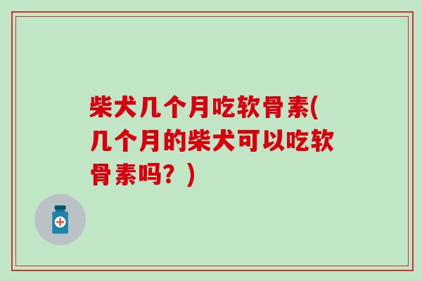 柴犬几个月吃软骨素(几个月的柴犬可以吃软骨素吗?)-第1张图片-氨糖科普网 柴犬几个月吃软骨素(几个月的柴犬可以吃软骨素吗?)-第1张图片-氨糖科普网