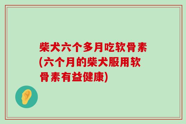 柴犬六个多月吃软骨素(六个月的柴犬服用软骨素有益健康)-第1张图片-氨糖科普网 柴犬六个多月吃软骨素(六个月的柴犬服用软骨素有益健康)-第1张图片-氨糖科普网