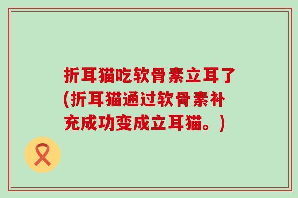折耳猫吃软骨素立耳了(折耳猫通过软骨素补充成功变成立耳猫。)-第1张图片-氨糖科普网 折耳猫吃软骨素立耳了(折耳猫通过软骨素补充成功变成立耳猫。)-第1张图片-氨糖科普网