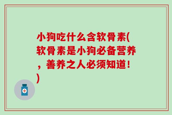 小狗吃什么含软骨素(软骨素是小狗必备营养,善养之人必须知道!)-第1张图片-氨糖科普网 小狗吃什么含软骨素(软骨素是小狗必备营养,善养之人必须知道!)-第1张图片-氨糖科普网