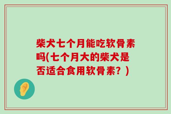 柴犬七个月能吃软骨素吗(七个月大的柴犬是否适合食用软骨素？)-第1张图片-氨糖科普网