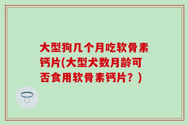 大型狗几个月吃软骨素钙片(大型犬数月龄可否食用软骨素钙片?)-第1张图片-氨糖科普网 大型狗几个月吃软骨素钙片(大型犬数月龄可否食用软骨素钙片?)-第1张图片-氨糖科普网