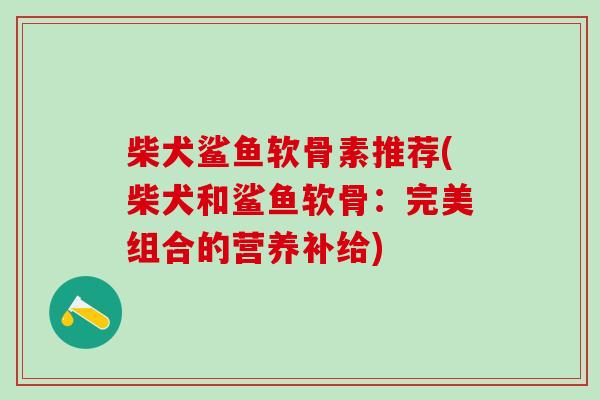柴犬鲨鱼软骨素推荐(柴犬和鲨鱼软骨：完美组合的营养补给)-第1张图片-氨糖科普网
