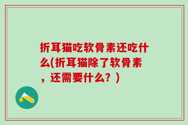 折耳猫吃软骨素还吃什么(折耳猫除了软骨素,还需要什么?)-第1张图片-氨糖科普网 折耳猫吃软骨素还吃什么(折耳猫除了软骨素,还需要什么?)-第1张图片-氨糖科普网