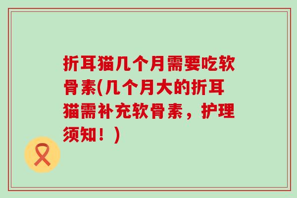 折耳猫几个月需要吃软骨素(几个月大的折耳猫需补充软骨素,护理须知!)-第1张图片-氨糖科普网 折耳猫几个月需要吃软骨素(几个月大的折耳猫需补充软骨素,护理须知!)-第1张图片-氨糖科普网