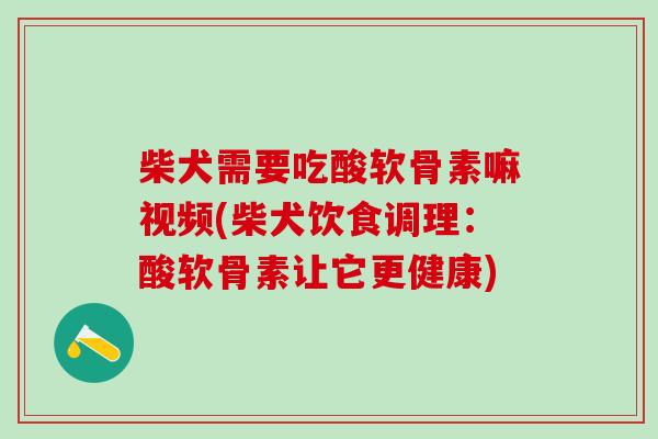 柴犬需要吃酸软骨素嘛视频(柴犬饮食调理:酸软骨素让它更健康)-第1张图片-氨糖科普网 柴犬需要吃酸软骨素嘛视频(柴犬饮食调理:酸软骨素让它更健康)-第1张图片-氨糖科普网