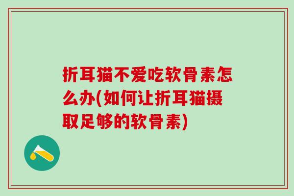 折耳猫不爱吃软骨素怎么办(如何让折耳猫摄取足够的软骨素)-第1张图片-氨糖科普网
