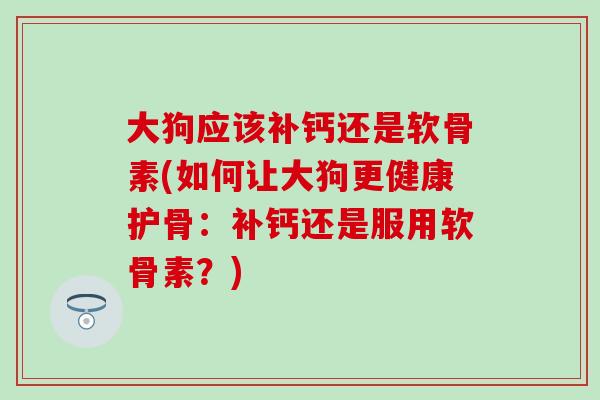 大狗应该补钙还是软骨素(如何让大狗更健康护骨:补钙还是服用软骨素?)-第1张图片-氨糖科普网 大狗应该补钙还是软骨素(如何让大狗更健康护骨:补钙还是服用软骨素?)-第1张图片-氨糖科普网