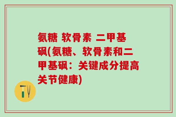 氨糖 软骨素 二甲基砜(氨糖、软骨素和二甲基砜：关键成分提高关节健康)-第1张图片-氨糖科普网