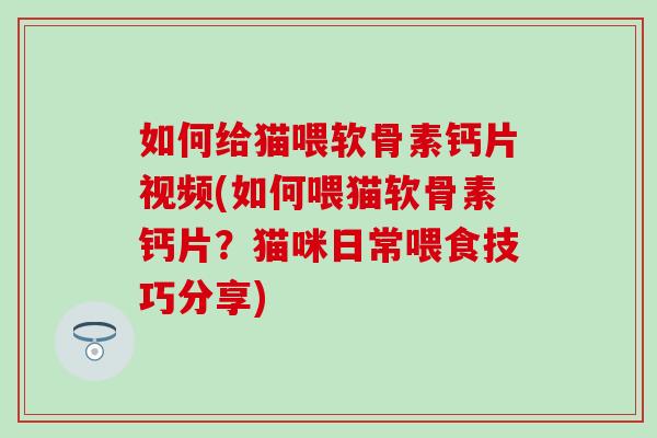 如何给猫喂软骨素钙片视频(如何喂猫软骨素钙片?猫咪日常喂食技巧分享)-第1张图片-氨糖科普网 如何给猫喂软骨素钙片视频(如何喂猫软骨素钙片?猫咪日常喂食技巧分享)-第1张图片-氨糖科普网