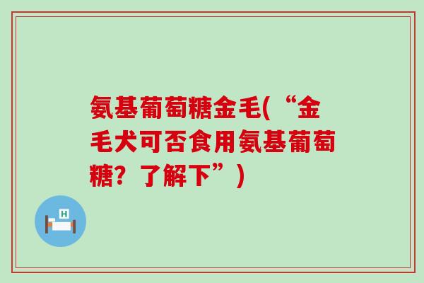 氨基葡萄糖金毛(“金毛犬可否食用氨基葡萄糖?了解下”)-第1张图片-氨糖科普网 氨基葡萄糖金毛(“金毛犬可否食用氨基葡萄糖?了解下”)-第1张图片-氨糖科普网