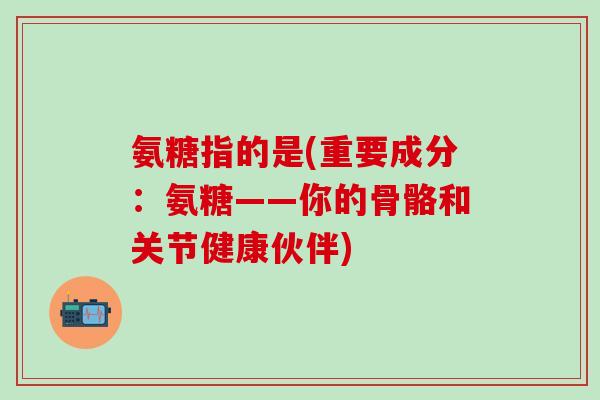 氨糖指的是(重要成分:氨糖——你的骨骼和关节健康伙伴)-第1张图片-氨糖科普网 氨糖指的是(重要成分:氨糖——你的骨骼和关节健康伙伴)-第1张图片-氨糖科普网