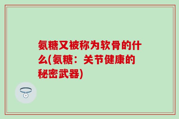 氨糖又被称为软骨的什么(氨糖：关节健康的秘密武器)-第1张图片-氨糖科普网