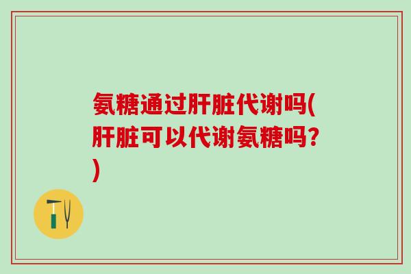 氨糖通过肝脏代谢吗(肝脏可以代谢氨糖吗?)-第1张图片-氨糖科普网 氨糖通过肝脏代谢吗(肝脏可以代谢氨糖吗?)-第1张图片-氨糖科普网