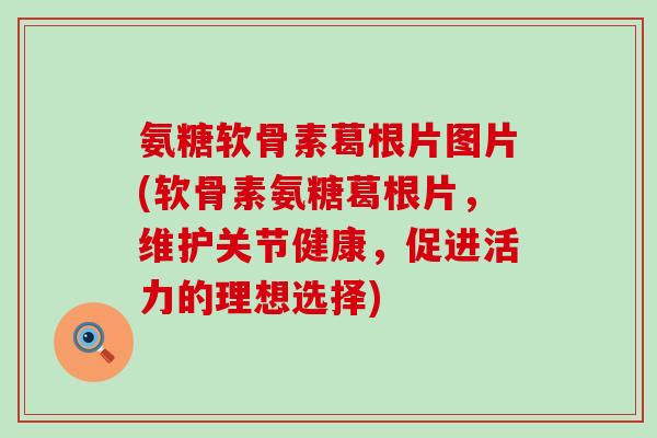 氨糖软骨素葛根片图片(软骨素氨糖葛根片,维护关节健康,促进活力的理想选择)-第1张图片-氨糖科普网 氨糖软骨素葛根片图片(软骨素氨糖葛根片,维护关节健康,促进活力的理想选择)-第1张图片-氨糖科普网