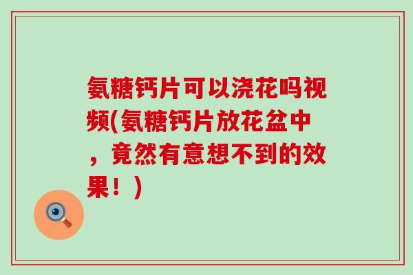 氨糖钙片可以浇花吗视频(氨糖钙片放花盆中,竟然有意想不到的效果!)-第1张图片-氨糖科普网 氨糖钙片可以浇花吗视频(氨糖钙片放花盆中,竟然有意想不到的效果!)-第1张图片-氨糖科普网