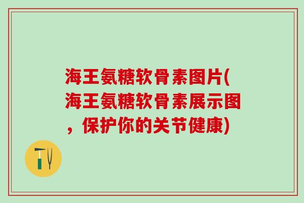 海王氨糖软骨素图片(海王氨糖软骨素展示图,保护你的关节健康)-第1张图片-氨糖科普网 海王氨糖软骨素图片(海王氨糖软骨素展示图,保护你的关节健康)-第1张图片-氨糖科普网