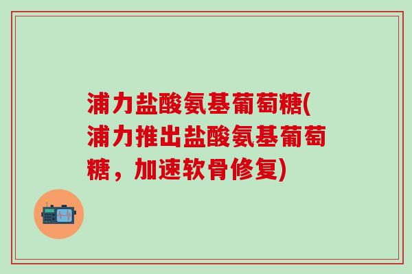 浦力盐酸氨基葡萄糖(浦力推出盐酸氨基葡萄糖,加速软骨修复)-第1张图片-氨糖科普网 浦力盐酸氨基葡萄糖(浦力推出盐酸氨基葡萄糖,加速软骨修复)-第1张图片-氨糖科普网