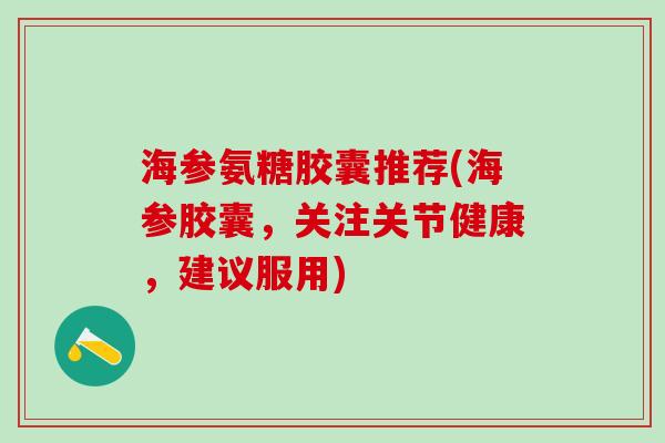 海参氨糖胶囊推荐(海参胶囊,关注关节健康,建议服用)-第1张图片-氨糖科普网 海参氨糖胶囊推荐(海参胶囊,关注关节健康,建议服用)-第1张图片-氨糖科普网