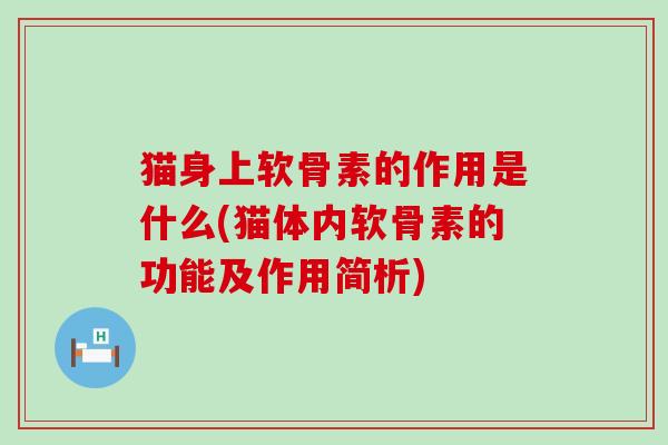 猫身上软骨素的作用是什么(猫体内软骨素的功能及作用简析)-第1张图片-氨糖科普网