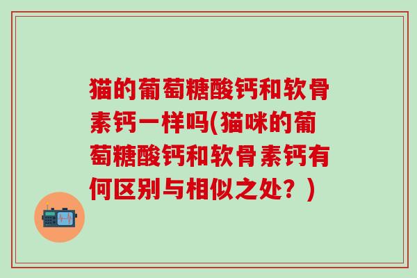 猫的葡萄糖酸钙和软骨素钙一样吗(猫咪的葡萄糖酸钙和软骨素钙有何区别与相似之处？)-第1张图片-氨糖科普网