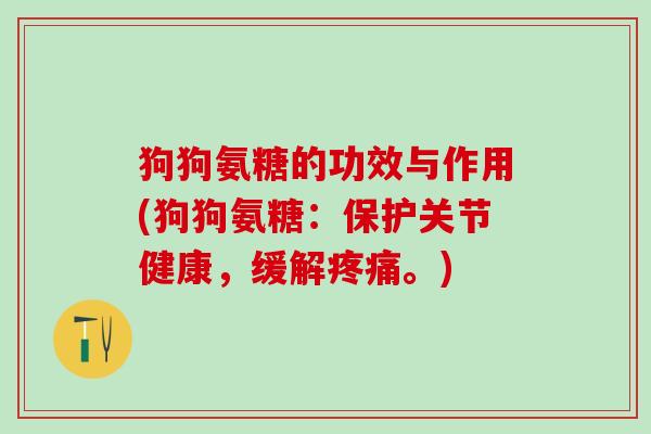狗狗氨糖的功效与作用(狗狗氨糖:保护关节健康,缓解疼痛。)-第1张图片-氨糖科普网 狗狗氨糖的功效与作用(狗狗氨糖:保护关节健康,缓解疼痛。)-第1张图片-氨糖科普网